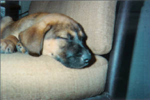 picture001.jpg